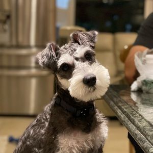 Meet your Posher, Sandra